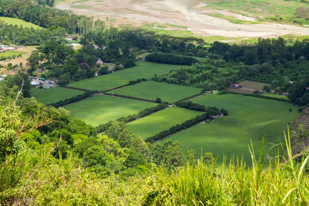 beautiful-green-field-costa-rican-countryside - O dono Vende!?